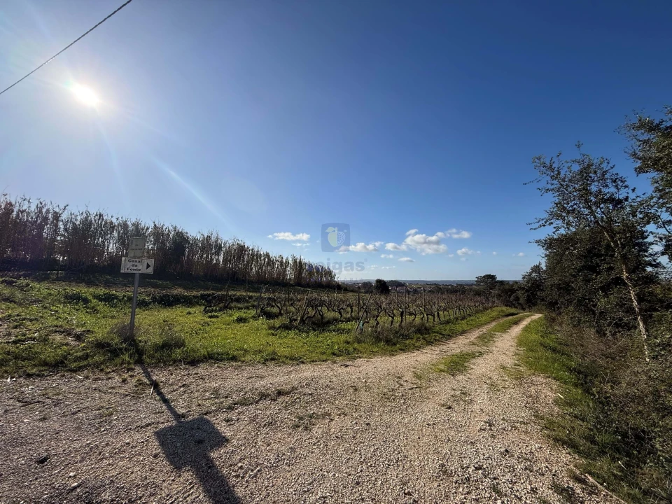 Quinta T4 para Venda em Usseira Foto 35