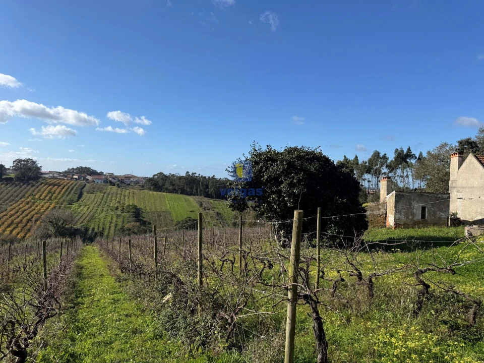 Quinta T4 para Venda em Usseira Foto 20