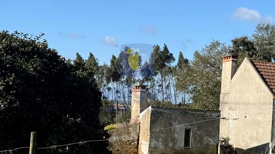 Quinta T4 para Venda em Usseira