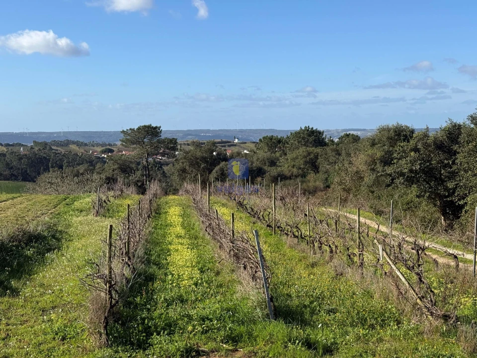 Moradia T4 para Venda em Usseira Foto 1