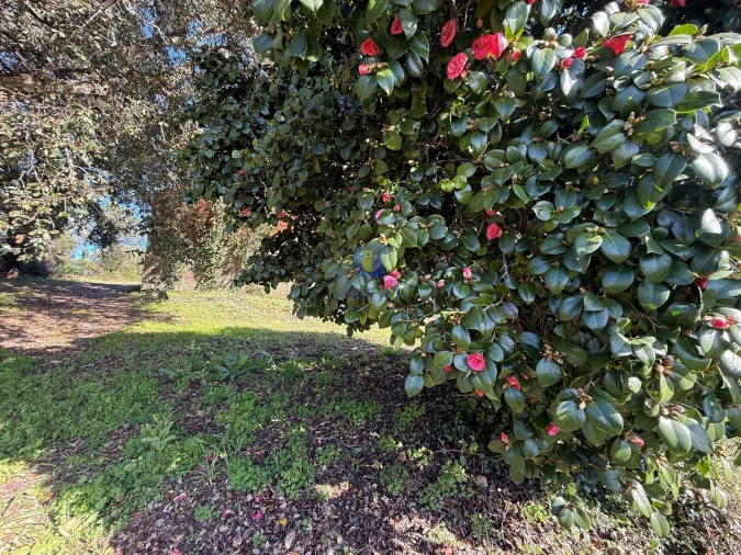 Moradia T4 para Venda em Usseira Foto 15