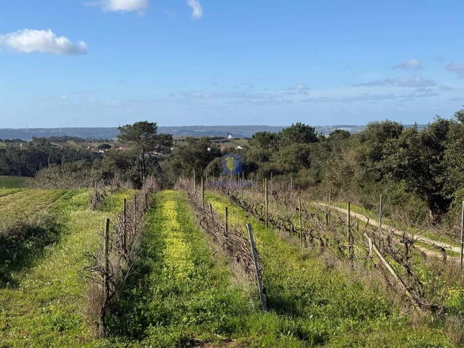 Moradia T4 para Venda em Usseira Foto 1