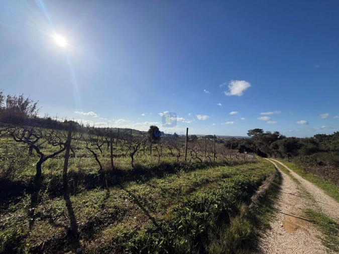 Moradia T4 para Venda em Usseira Foto 21