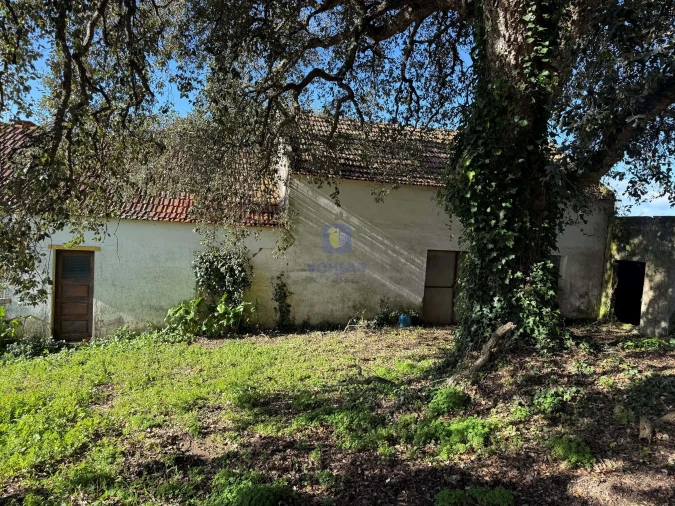 Moradia T4 para Venda em Usseira Foto 7