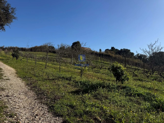 Moradia T4 para Venda em Usseira Foto 16