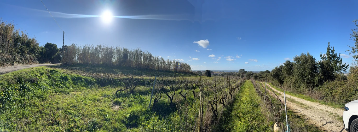 Moradia T4 para Venda em Usseira Foto 28