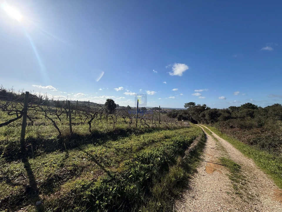 Moradia T4 para Venda em Usseira Foto 19