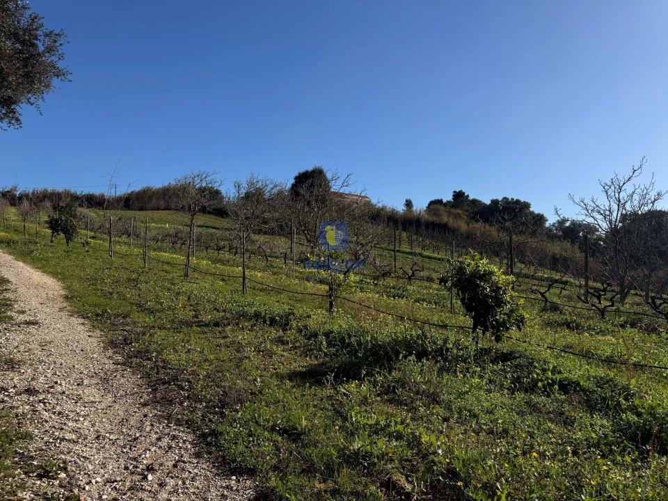 Moradia T4 para Venda em Usseira Foto 16