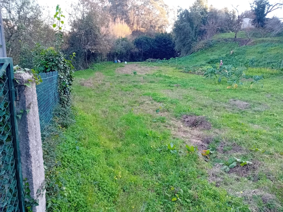Terreno para Venda em Oliveira do Douro Foto 8