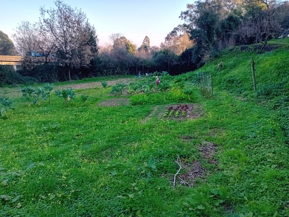 Terreno para Venda em Oliveira do Douro Foto 7