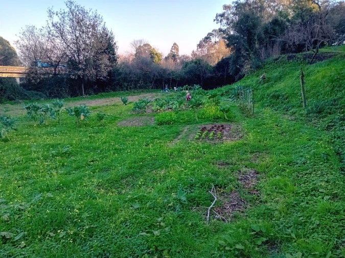 Terreno para Venda em Oliveira do Douro Foto 7