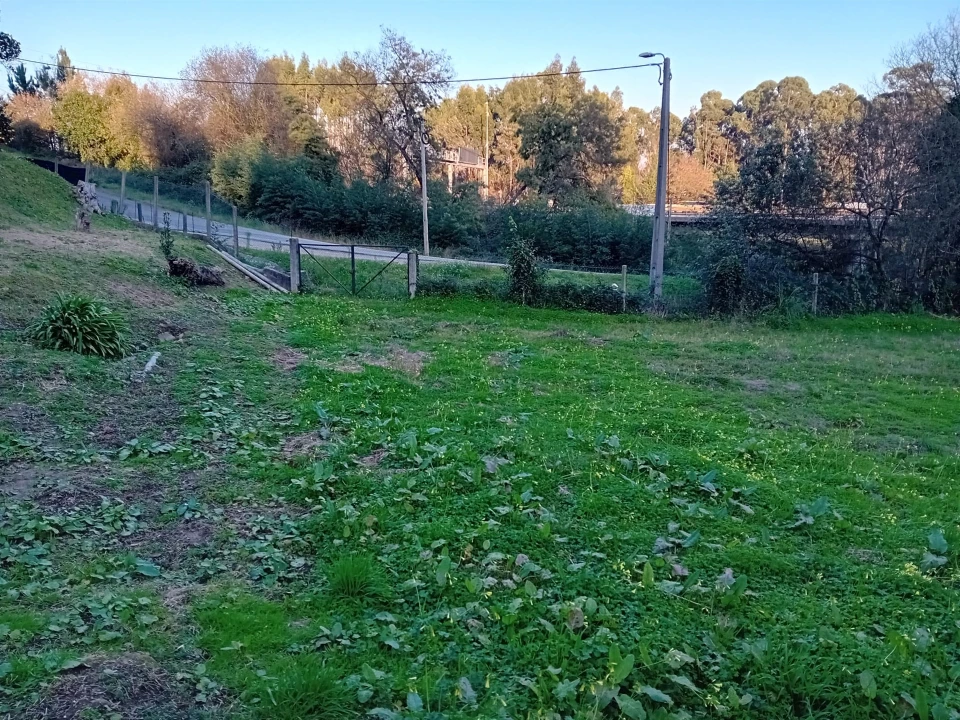 Terreno para Venda em Oliveira do Douro Foto 9