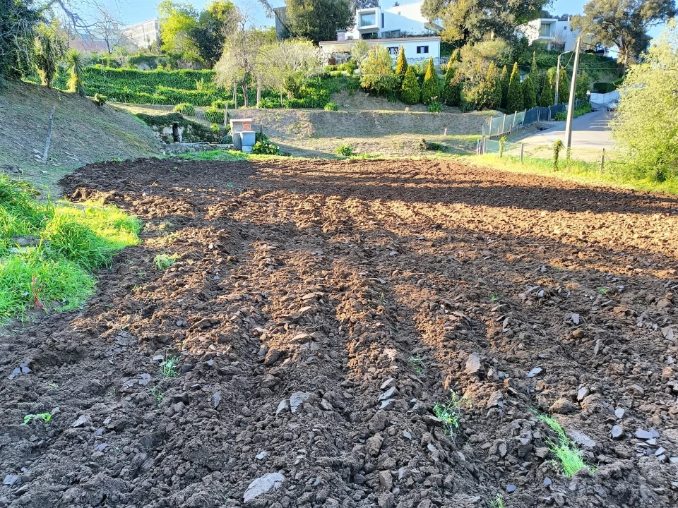 Terreno para Venda em Oliveira do Douro Foto 10