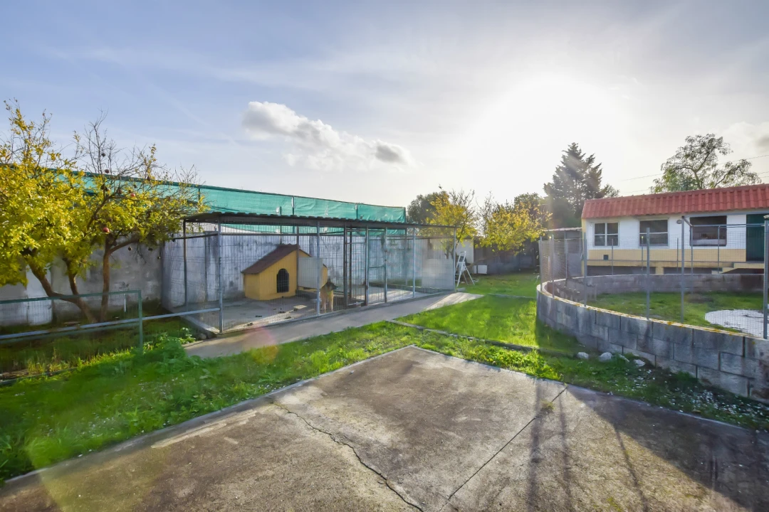 Moradia T3 para Venda em Brogueira, Parceiros de Igreja e Alcorochel Foto 16