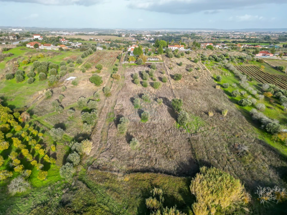 Moradia T3 para Venda em Brogueira, Parceiros de Igreja e Alcorochel Foto 6