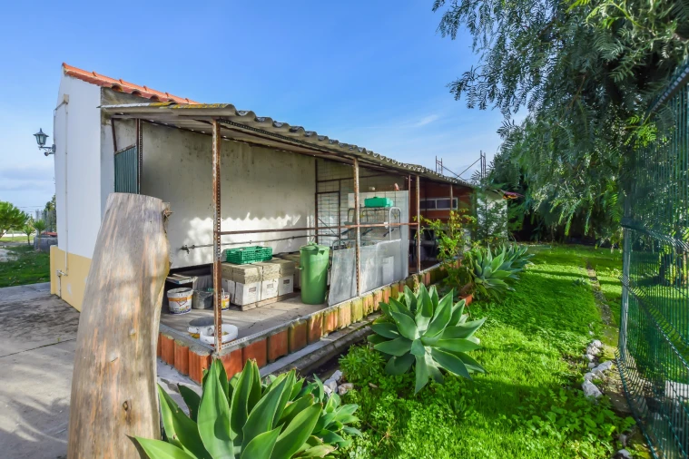 Moradia T3 para Venda em Brogueira, Parceiros de Igreja e Alcorochel Foto 13