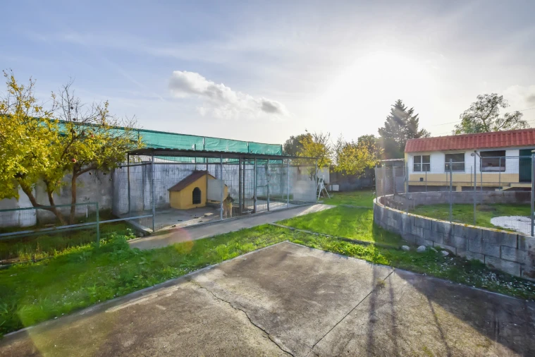 Moradia T3 para Venda em Brogueira, Parceiros de Igreja e Alcorochel Foto 16