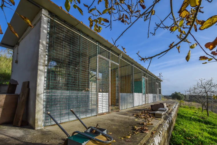 Moradia T3 para Venda em Brogueira, Parceiros de Igreja e Alcorochel Foto 11