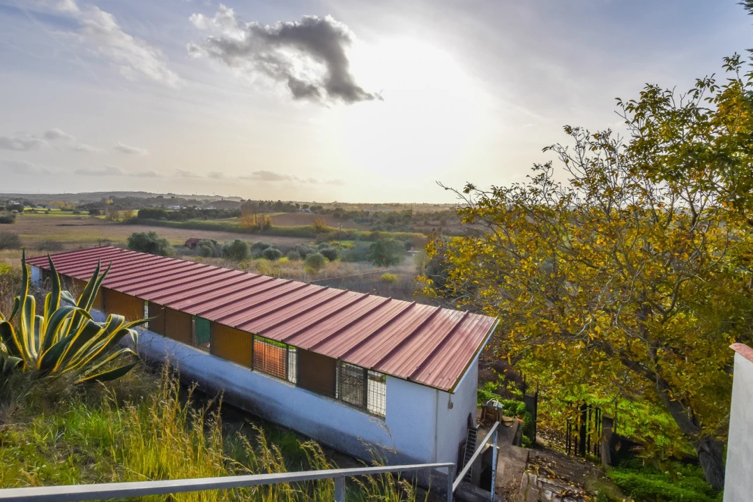 Moradia T3 para Venda em Brogueira, Parceiros de Igreja e Alcorochel Foto 10