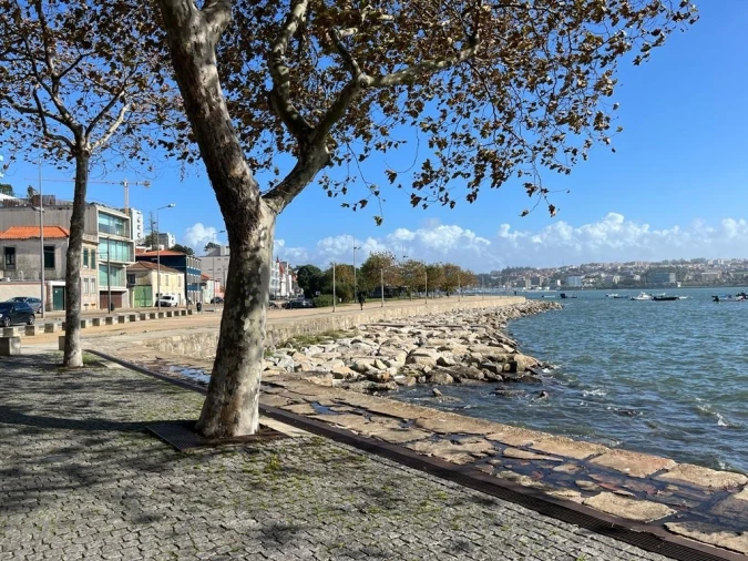Terreno para Venda em Lordelo do Ouro e Massarelos Foto 19
