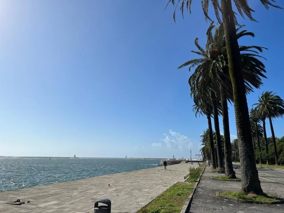 Terreno para Venda em Lordelo do Ouro e Massarelos Foto 17