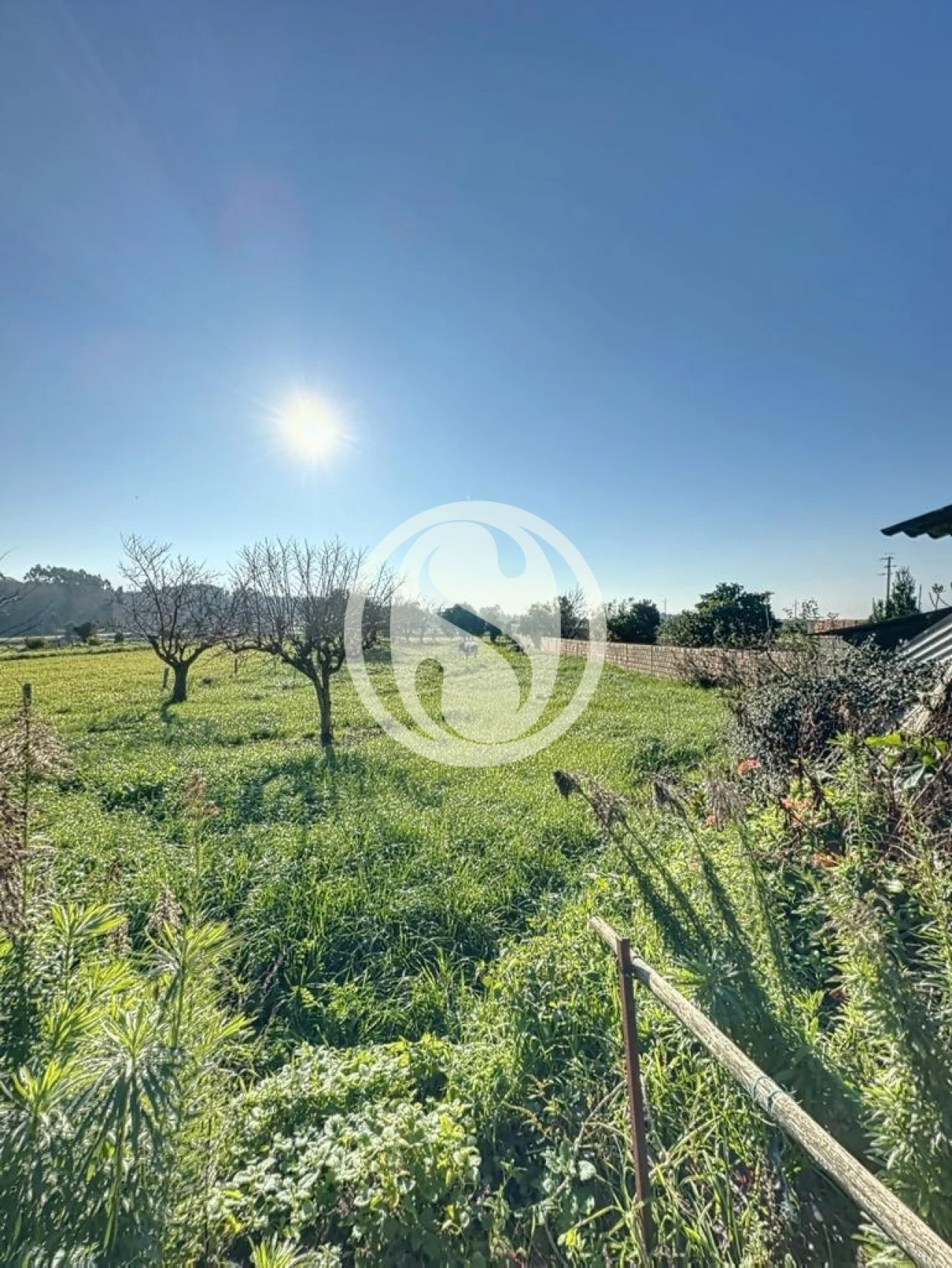 Moradia T2 para Venda em Salreu Foto 18