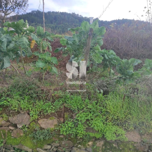 Terreno para Venda em Lousã e Vilarinho Foto 7