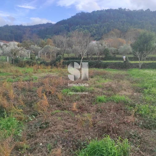 Terreno para Venda em Lousã e Vilarinho Foto 11