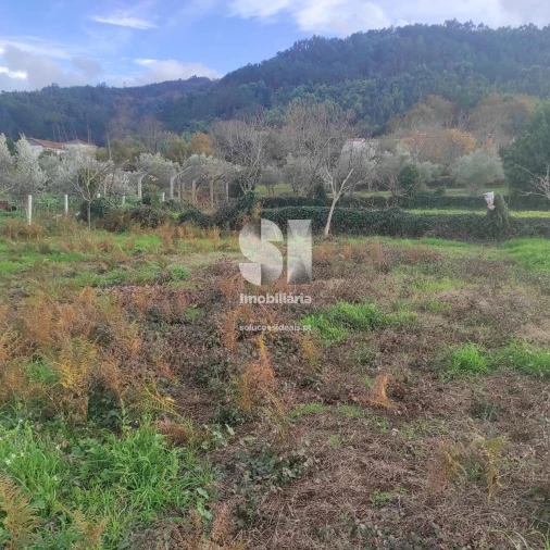 Terreno para Venda em Lousã e Vilarinho Foto 12