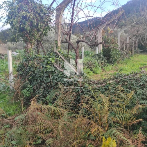 Terreno para Venda em Lousã e Vilarinho Foto 15