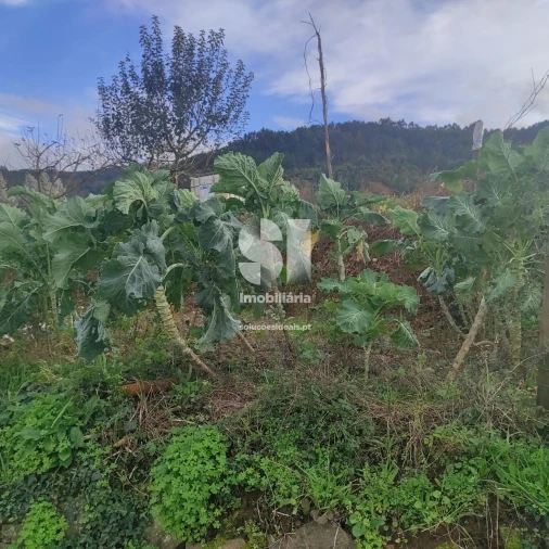Terreno para Venda em Lousã e Vilarinho Foto 17