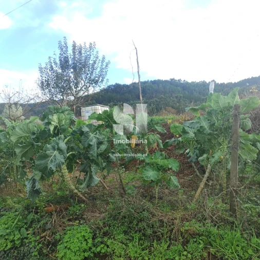 Terreno para Venda em Lousã e Vilarinho Foto 18