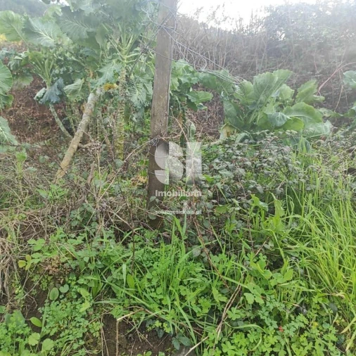 Terreno para Venda em Lousã e Vilarinho Foto 19
