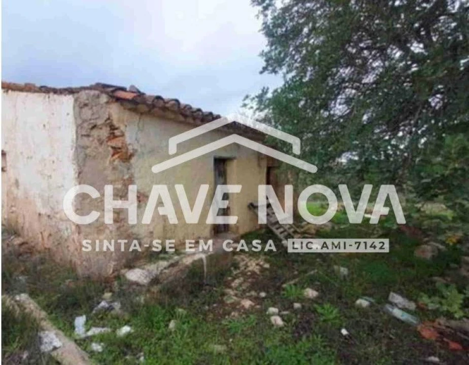 Negócio para Venda em Ferreiras Foto 1