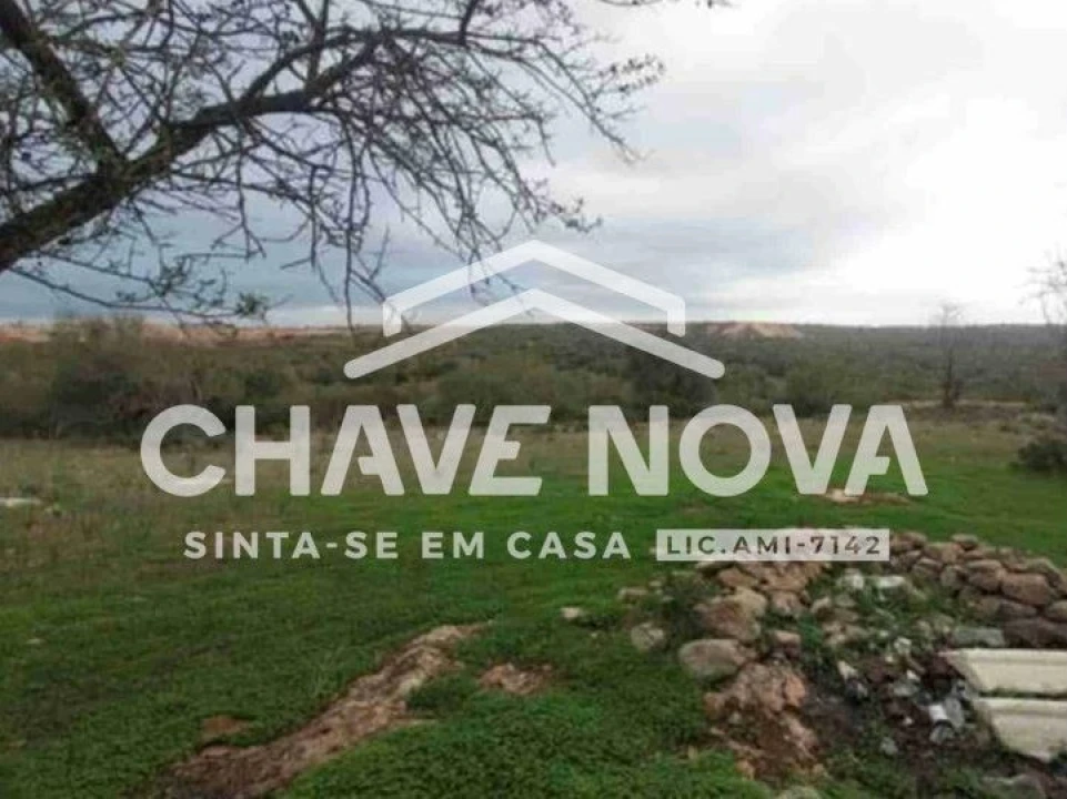 Negócio para Venda em Ferreiras Foto 2