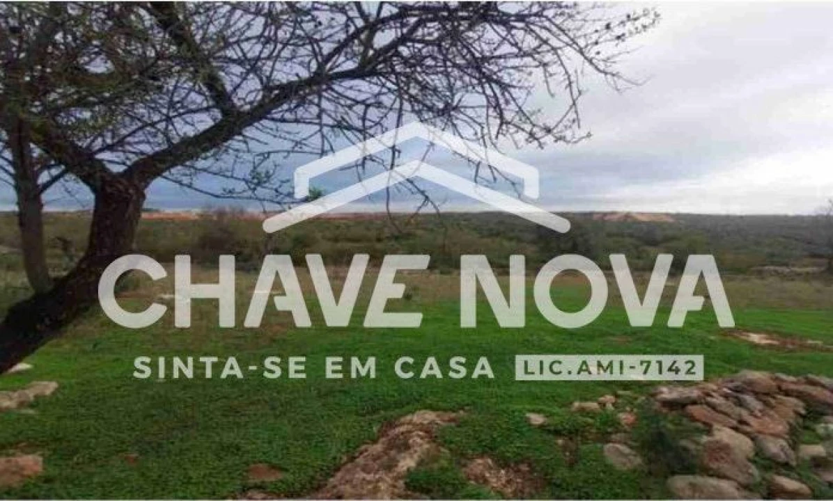 Negócio para Venda em Ferreiras Foto 4