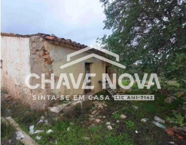 Negócio para Venda em Ferreiras