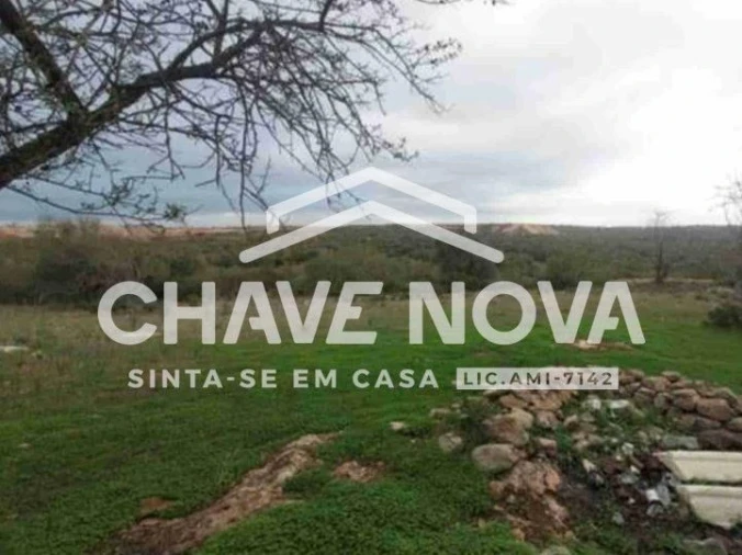 Negócio para Venda em Ferreiras Foto 2