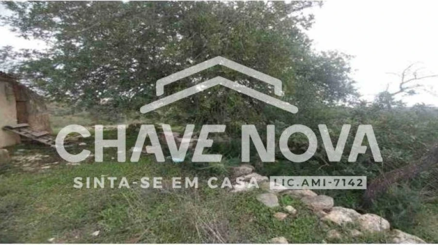 Negócio para Venda em Ferreiras Foto 3