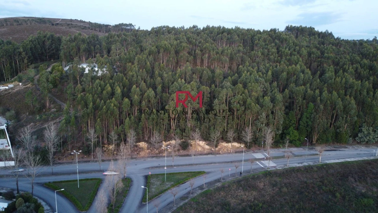 Terreno Agricola ou Rústico para Venda em Valongo Foto 1