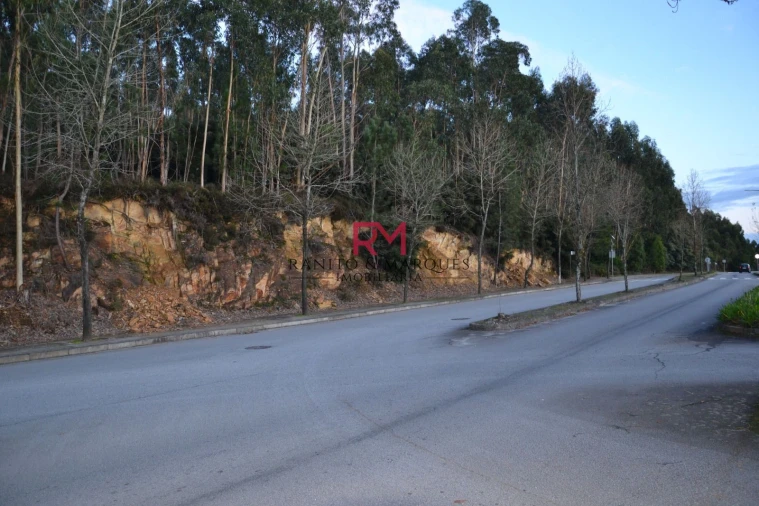 Terreno Agricola ou Rústico para Venda em Valongo Foto 3