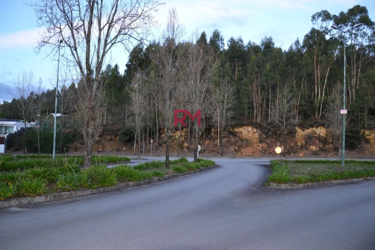 Terreno Agricola ou Rústico para Venda em Valongo Foto 6