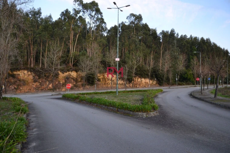 Terreno Agricola ou Rústico para Venda em Valongo Foto 8