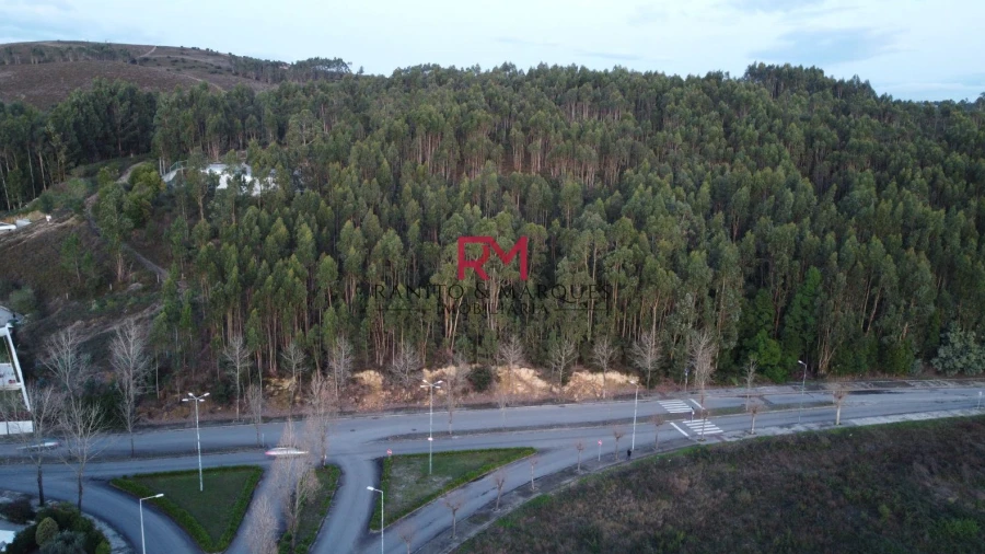 Terreno Agricola ou Rústico para Venda em Valongo