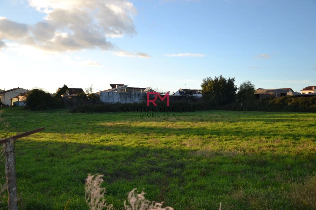 Terreno Agricola ou Rústico para Venda em Valongo Foto 3