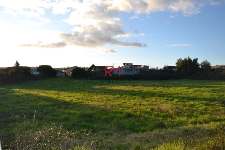 Terreno Agricola ou Rústico para Venda em Valongo Foto 5