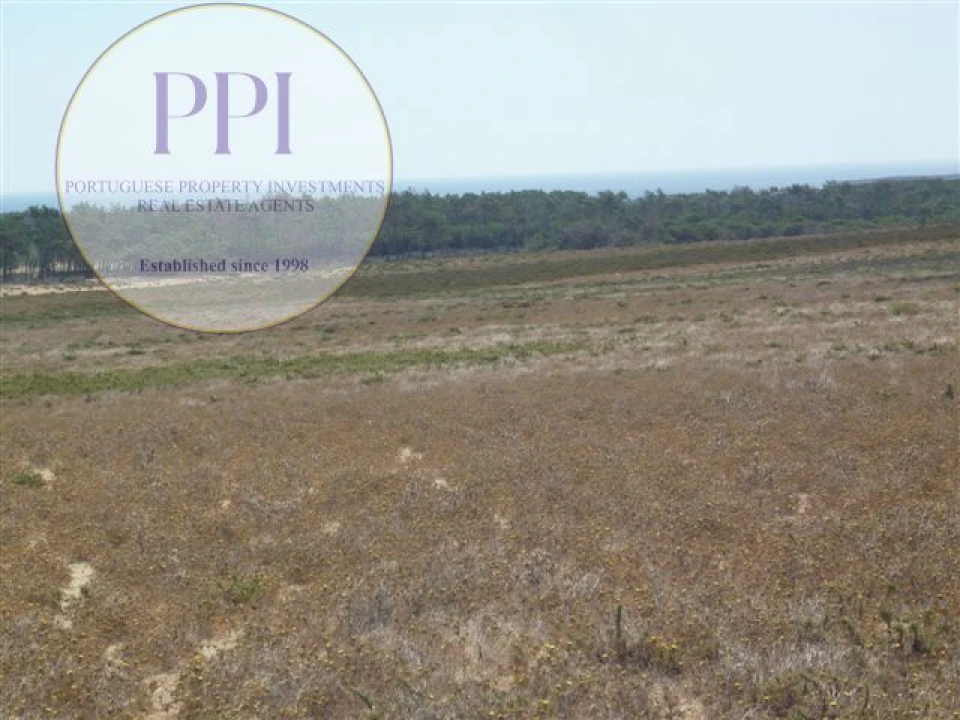 Terreno para Venda em Vila de Sagres Foto 16