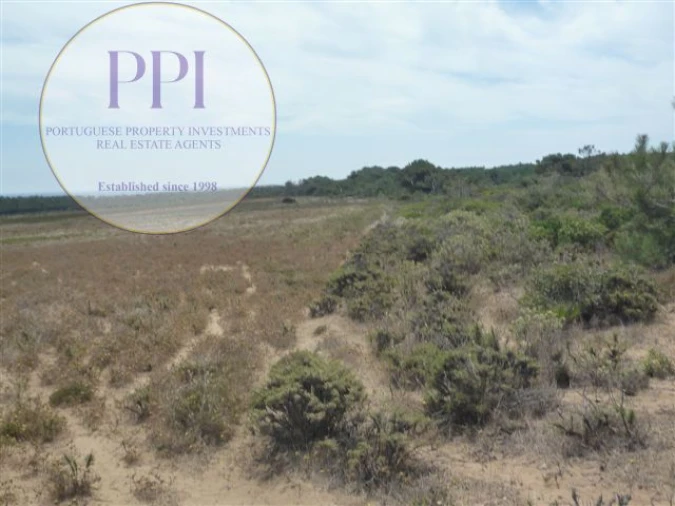 Terreno para Venda em Vila de Sagres Foto 4