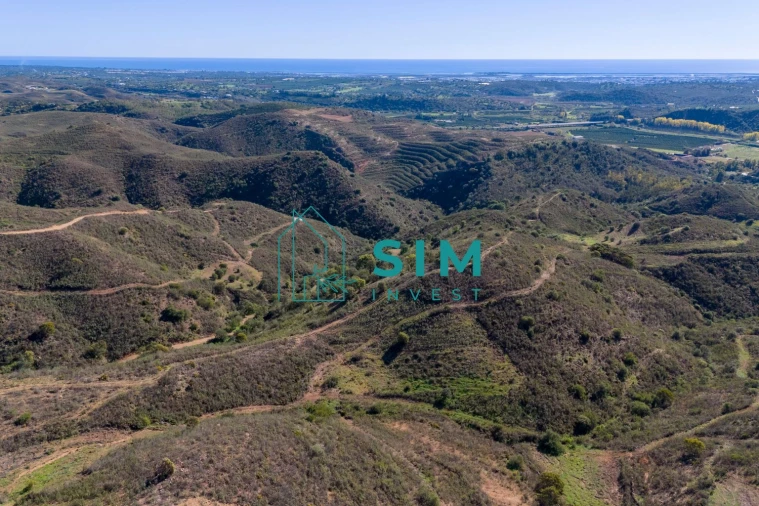 Terreno para Venda em Tavira (Santa Maria e Santiago) Foto 16