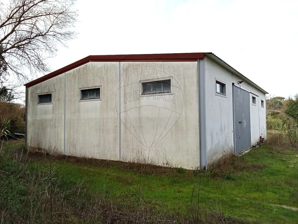 Armazém para Venda em São Jose da Lamarosa Foto 4